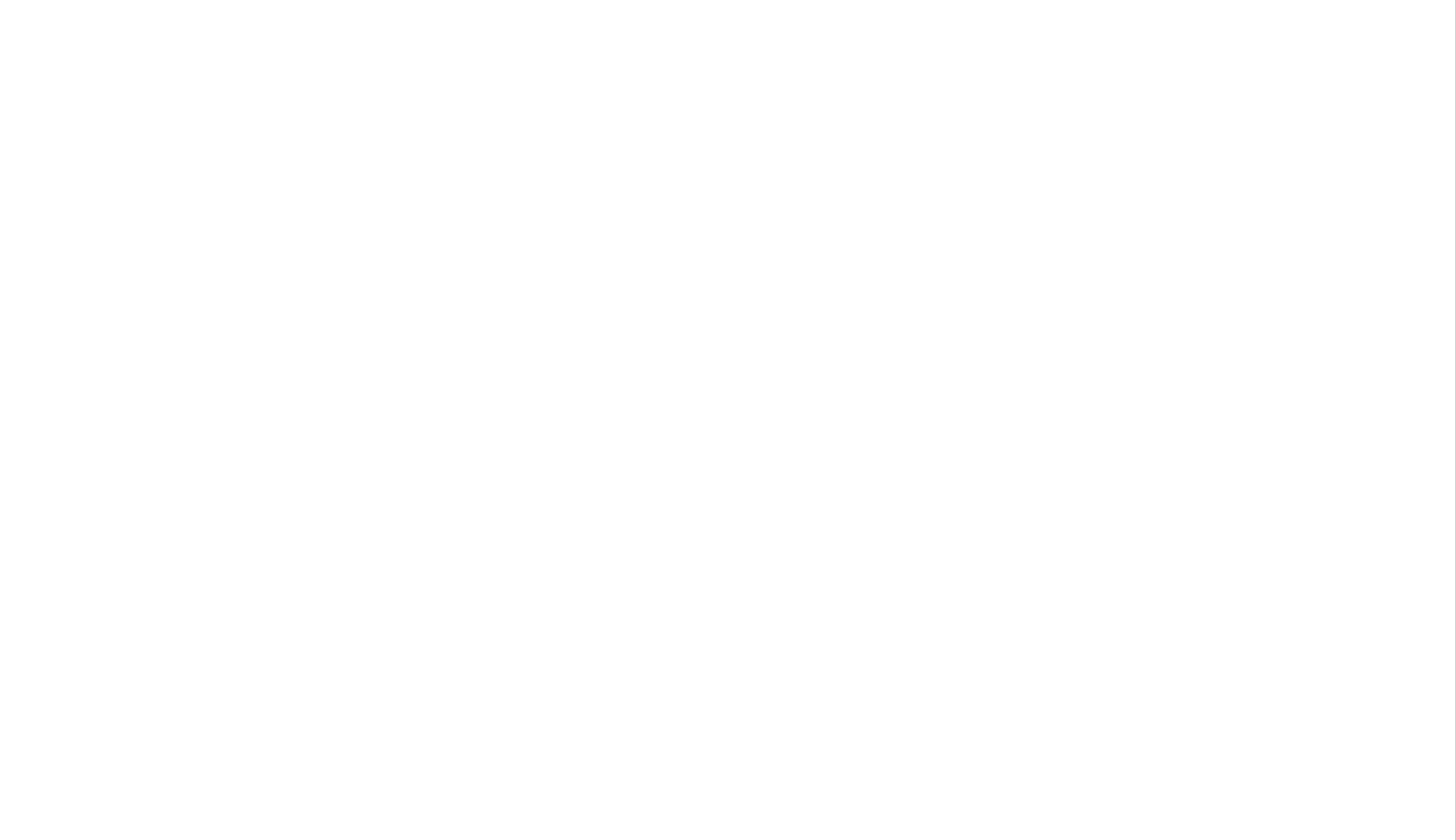 NemPOS logo
